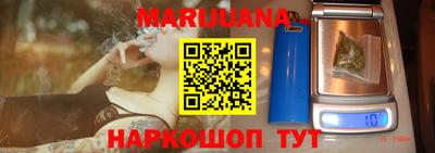 спиды Кингисепп