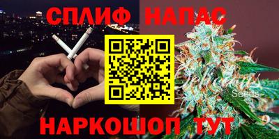 спиды Кингисепп