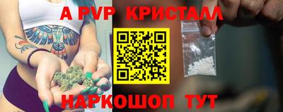 спиды Кингисепп