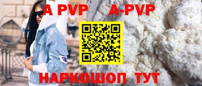 спиды Кингисепп
