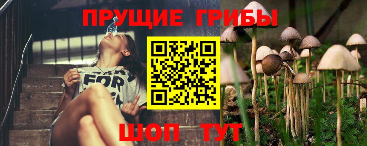 Псилоцибиновые грибы ЛСД  Вход с VPN  Краснокаменск 